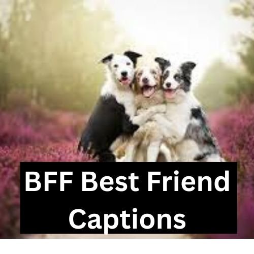 BFF Best Friend Captions