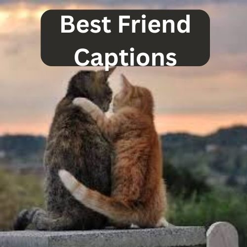Best Friend Captions
