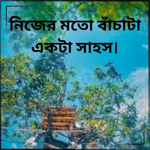 তুমি ছাড়া সন্ধ্যাগুলো বিষাদে ভরে যায়। 2