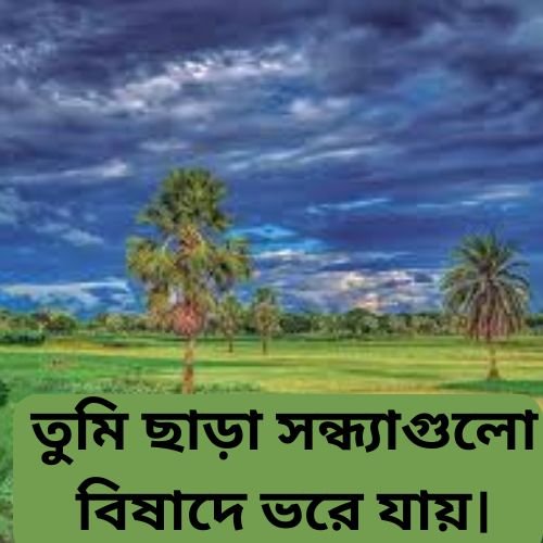 তুমি ছাড়া সন্ধ্যাগুলো বিষাদে ভরে যায়।