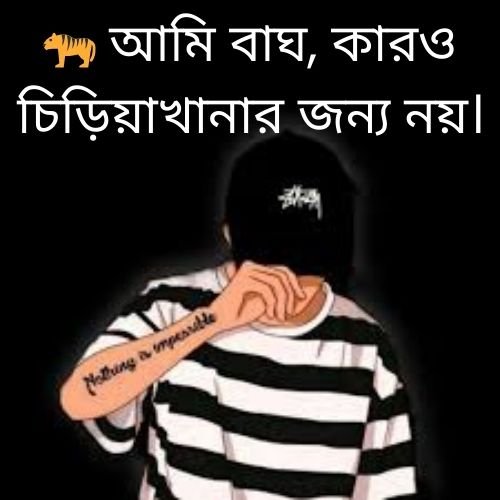🐅 আমি বাঘ কারও চিড়িয়াখানার জন্য নয়।