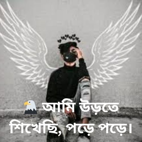 🦅 আমি উড়তে শিখেছি পড়ে পড়ে।