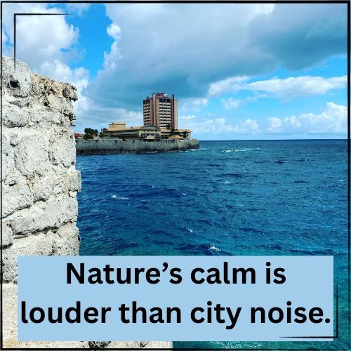 Natures calm is louder than city noise
