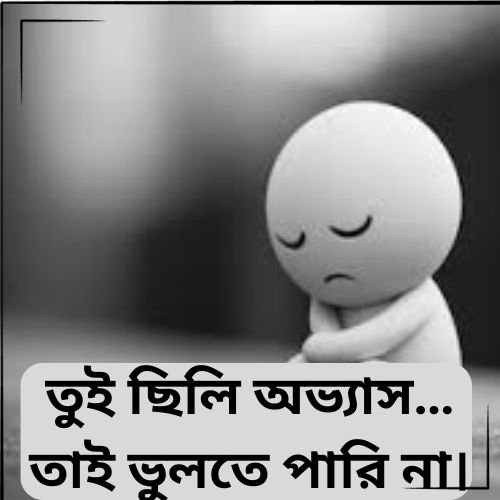 তুই ছিলি অভ্যাস… তাই ভুলতে পারি না।